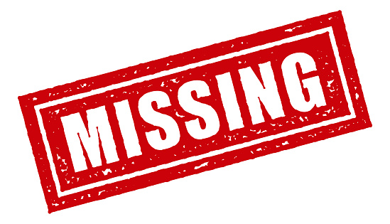 Delhi's Leading and Most Trusted Matrimonial Investigation Agency